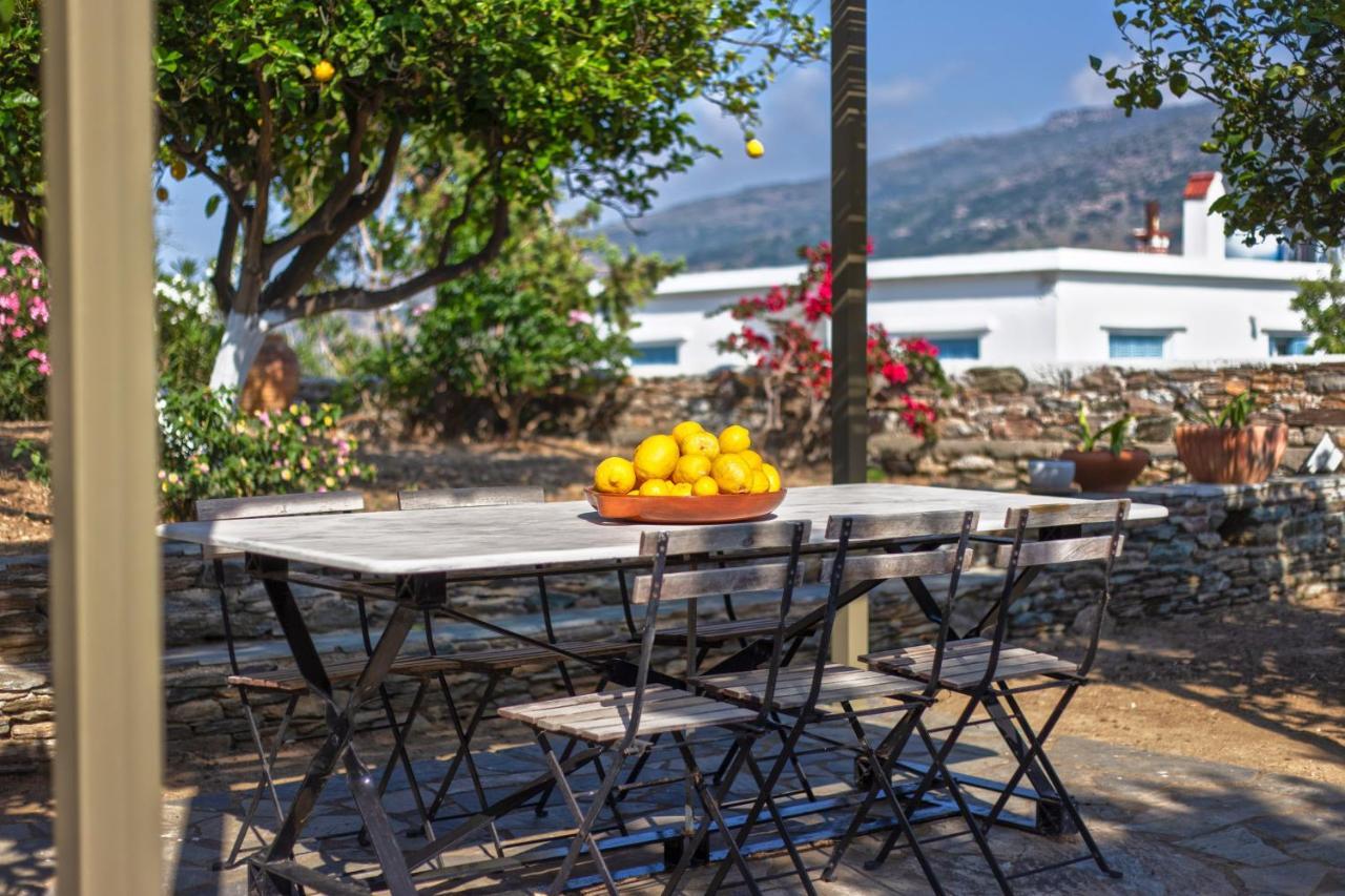 Lemoni House Villa Ándros Exteriör bild